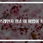 가스레인지 청소 이 비법이 최고