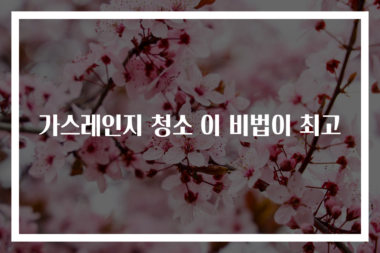 가스레인지 청소 이 비법이 최고