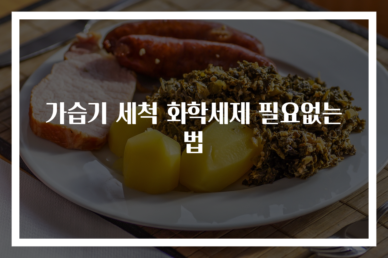 가습기 세척 화학세제 필요없는 법