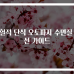 간헐적 단식 오토파지 수면질 개선 가이드