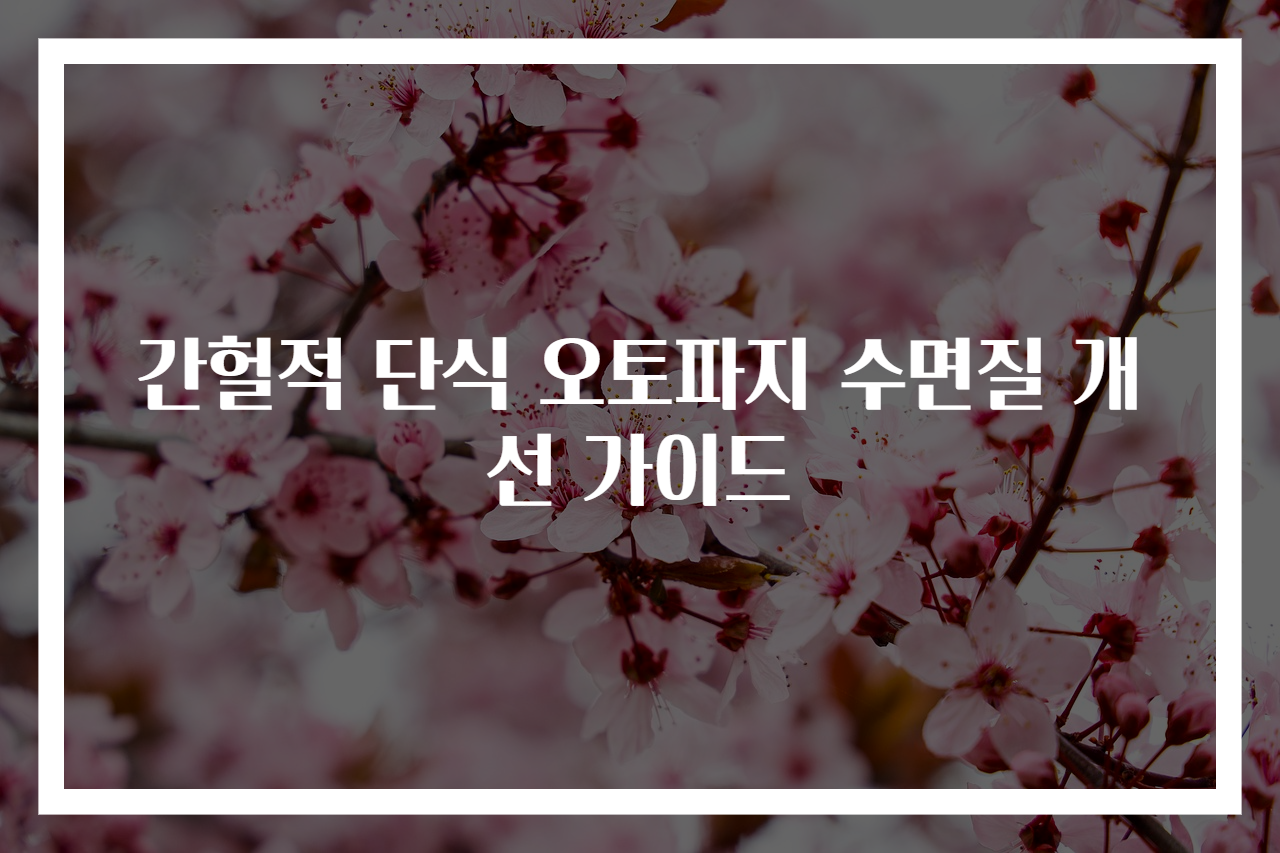 간헐적 단식 오토파지 수면질 개선 가이드