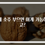 감에 소주 부으면 이게 가능하다고?