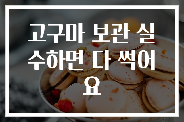 고구마 보관 실수하면 다 썩어요
