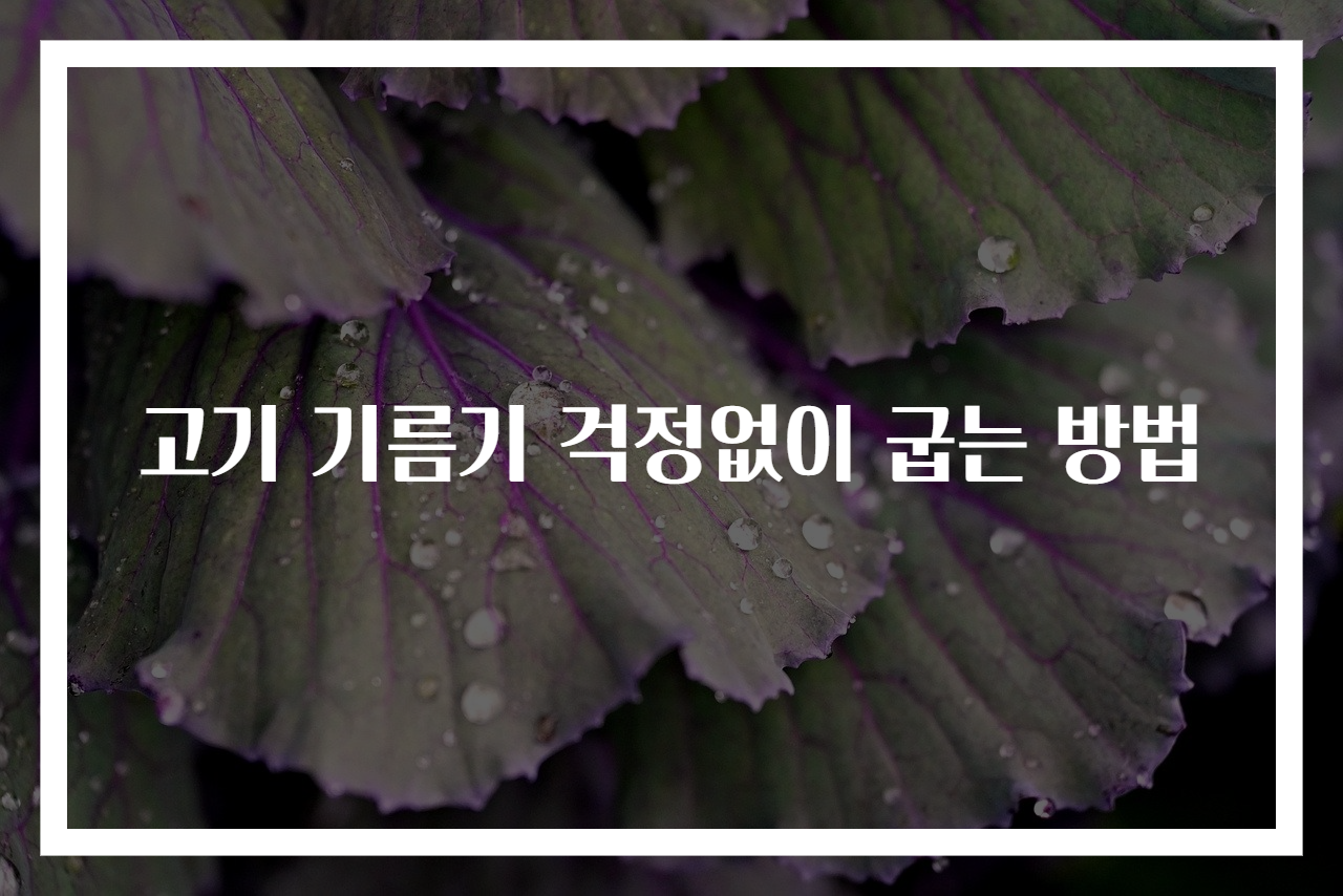 고기 기름기 걱정없이 굽는 방법