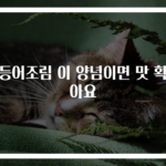 고등어조림 이 양념이면 맛 확살아요