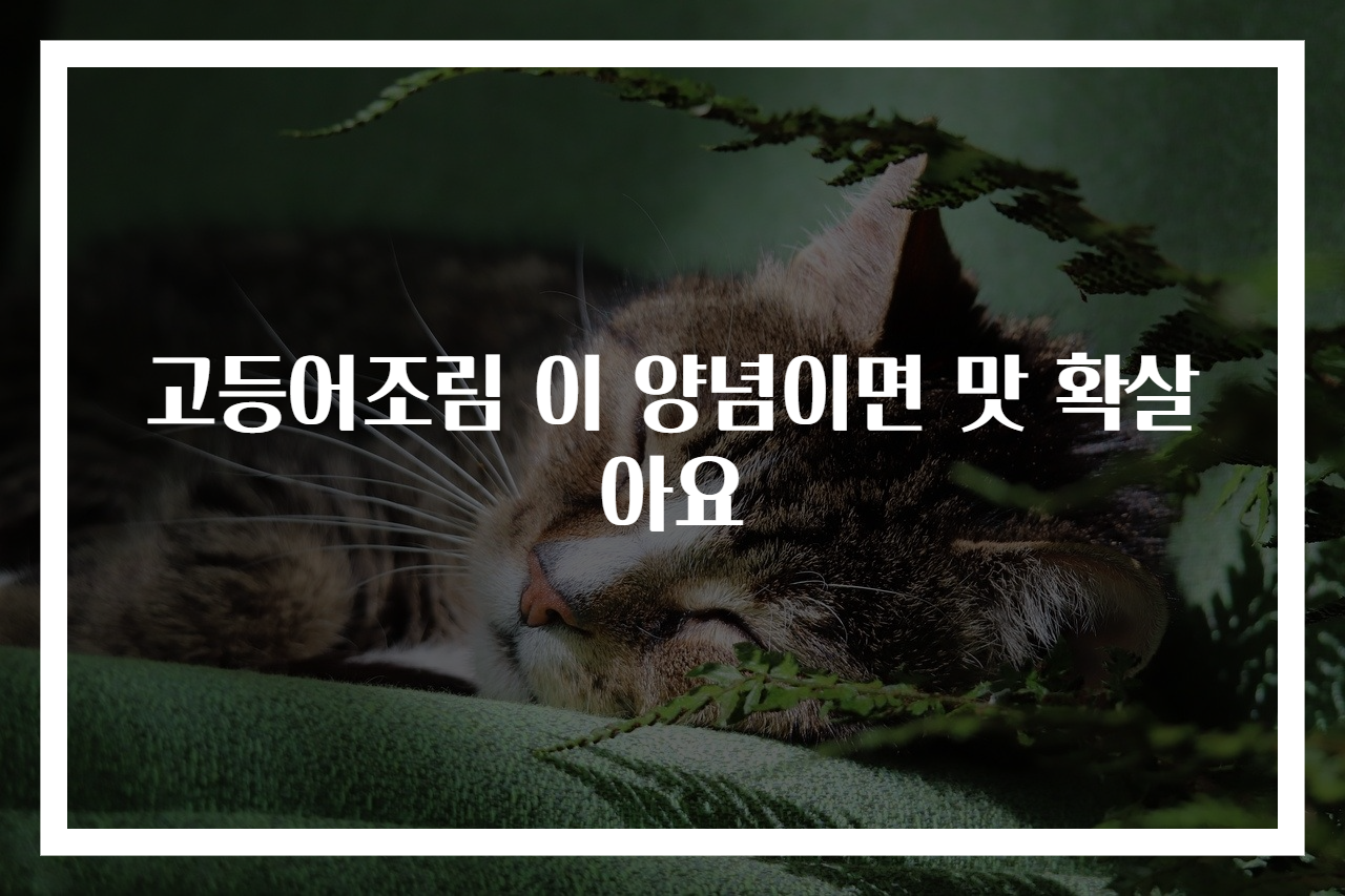 고등어조림 이 양념이면 맛 확살아요
