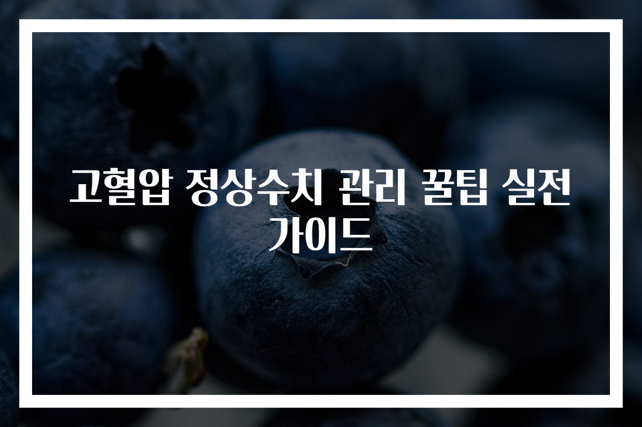 고혈압 정상수치 관리 꿀팁 실전 가이드