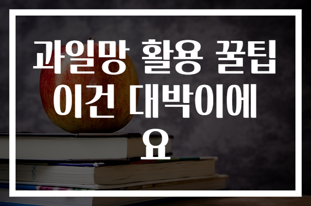 과일망 활용 꿀팁 이건 대박이에요