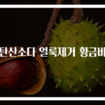 과탄산소다 얼룩제거 황금비율