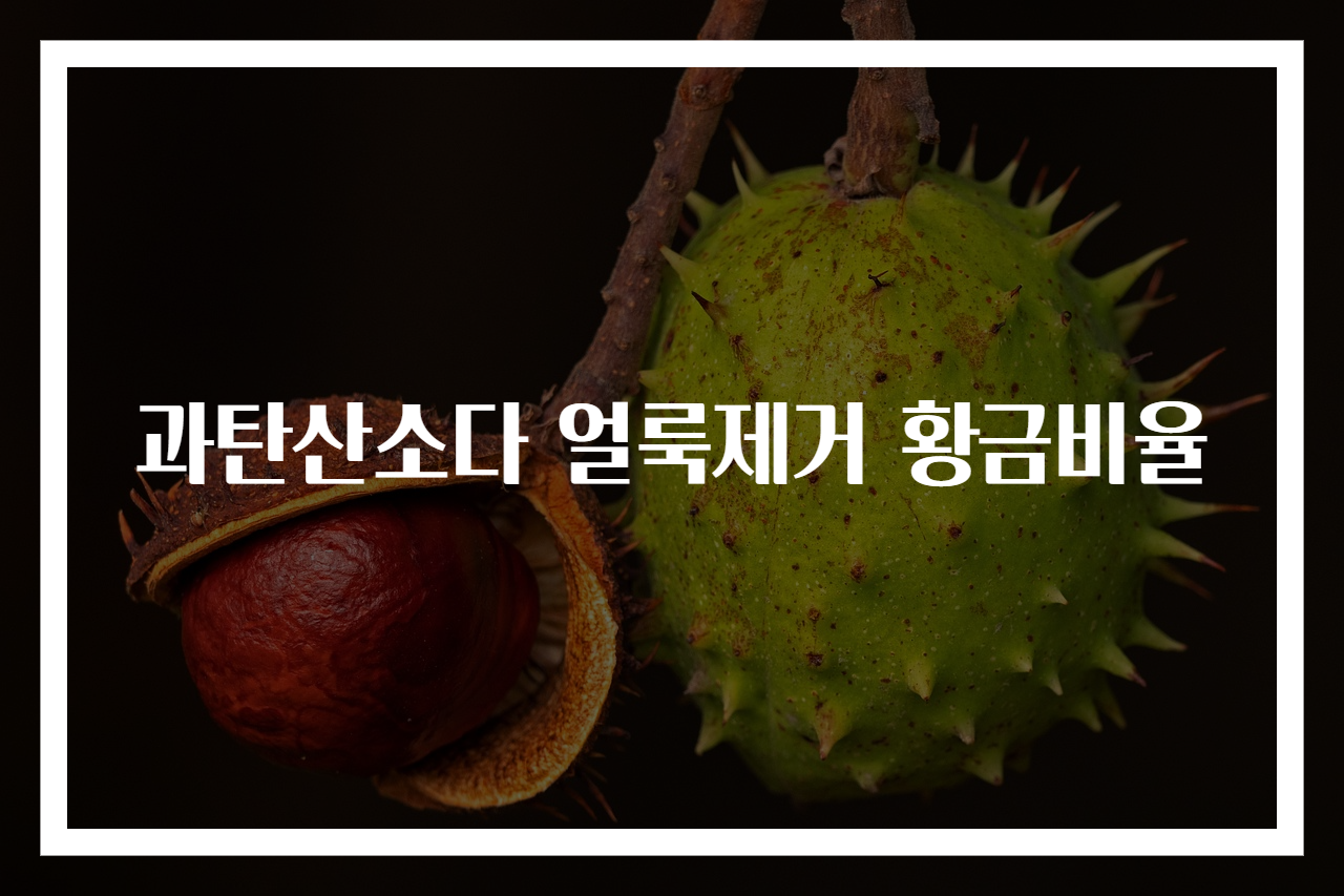 과탄산소다 얼룩제거 황금비율
