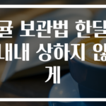 귤 보관법 한달 내내 상하지 않게