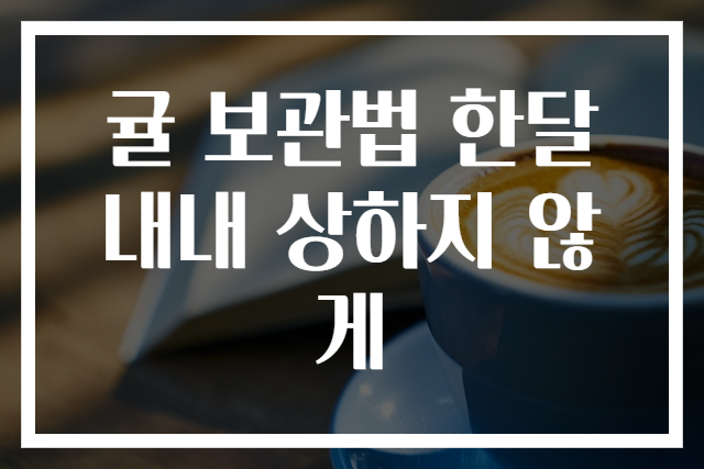 귤 보관법 한달 내내 상하지 않게