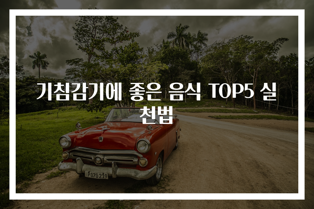 기침감기에 좋은 음식 TOP5 실천법