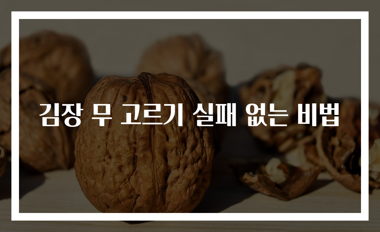 김장 무 고르기 실패 없는 비법