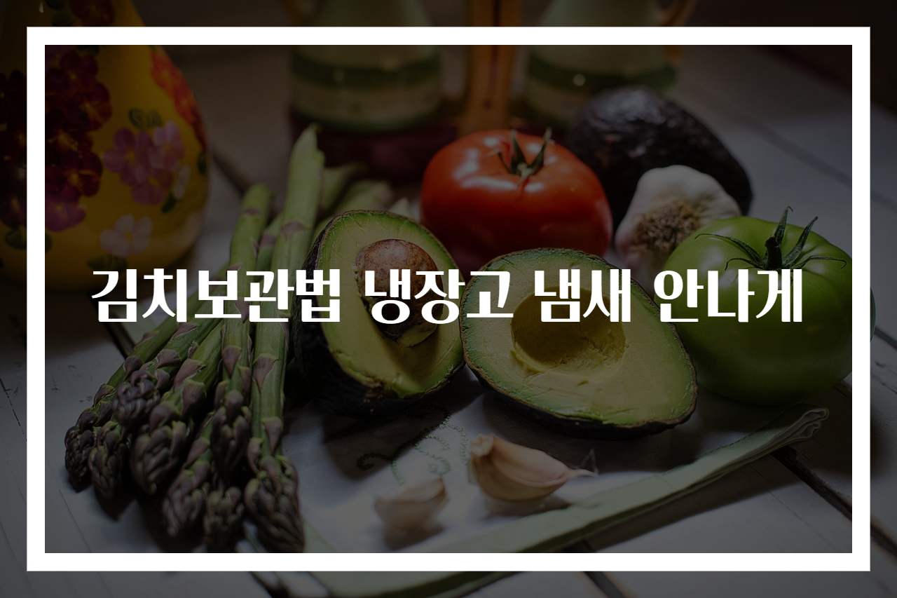 김치보관법 냉장고 냄새 안나게