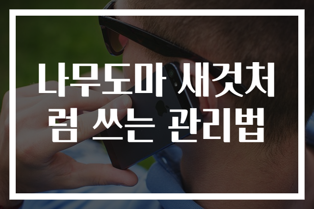 나무도마 새것처럼 쓰는 관리법