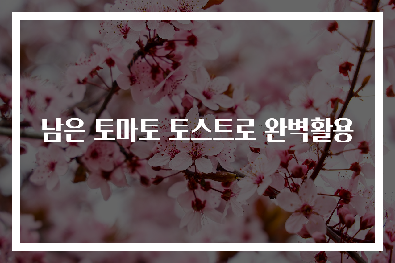 남은 토마토 토스트로 완벽활용