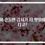 냄비 흔들면 감자가 더 맛있어진다고?
