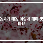 냉동고기 해동 이렇게 해야 맛살아요