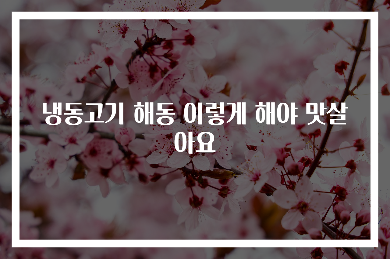 냉동고기 해동 이렇게 해야 맛살아요