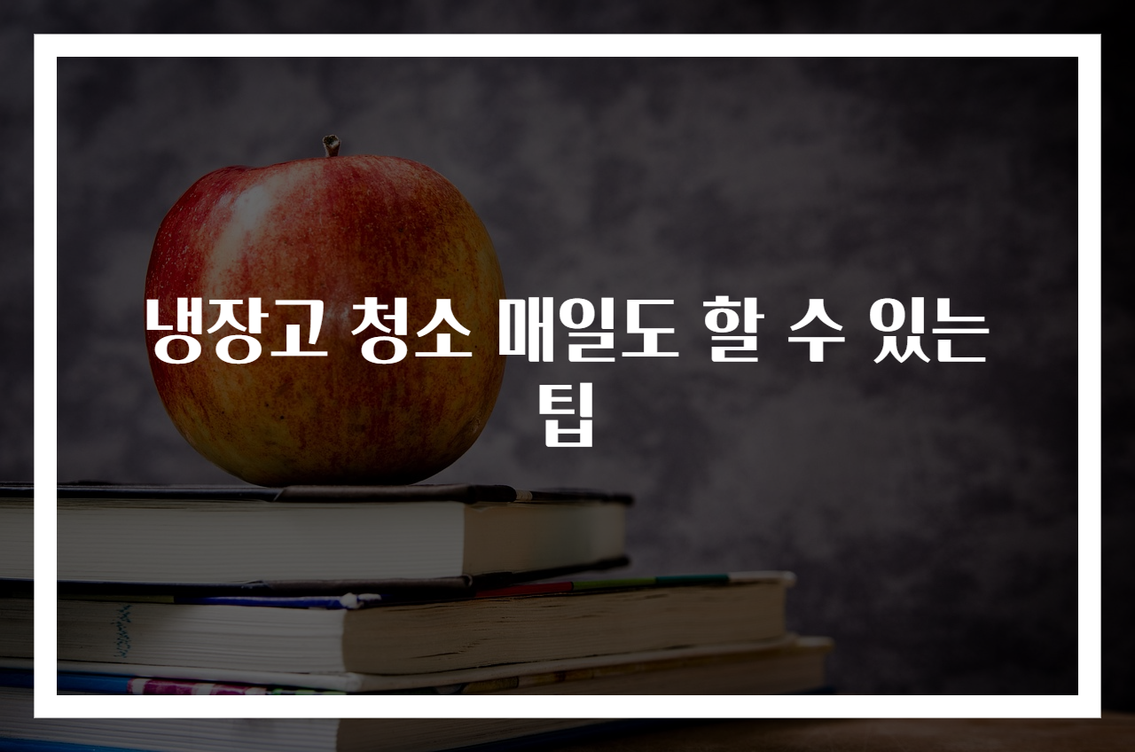 냉장고 청소 매일도 할 수 있는 팁
