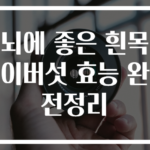 뇌에 좋은 흰목이버섯 효능 완전정리
