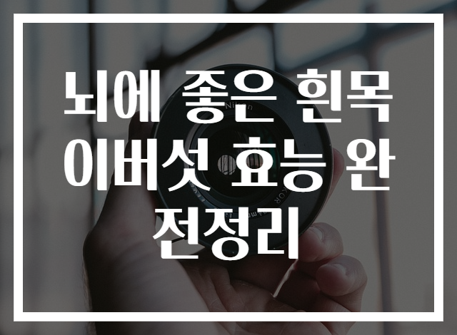 뇌에 좋은 흰목이버섯 효능 완전정리