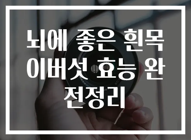 뇌에 좋은 흰목이버섯 효능 완전정리