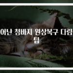 늘어난 청바지 원상복구 다림질팁