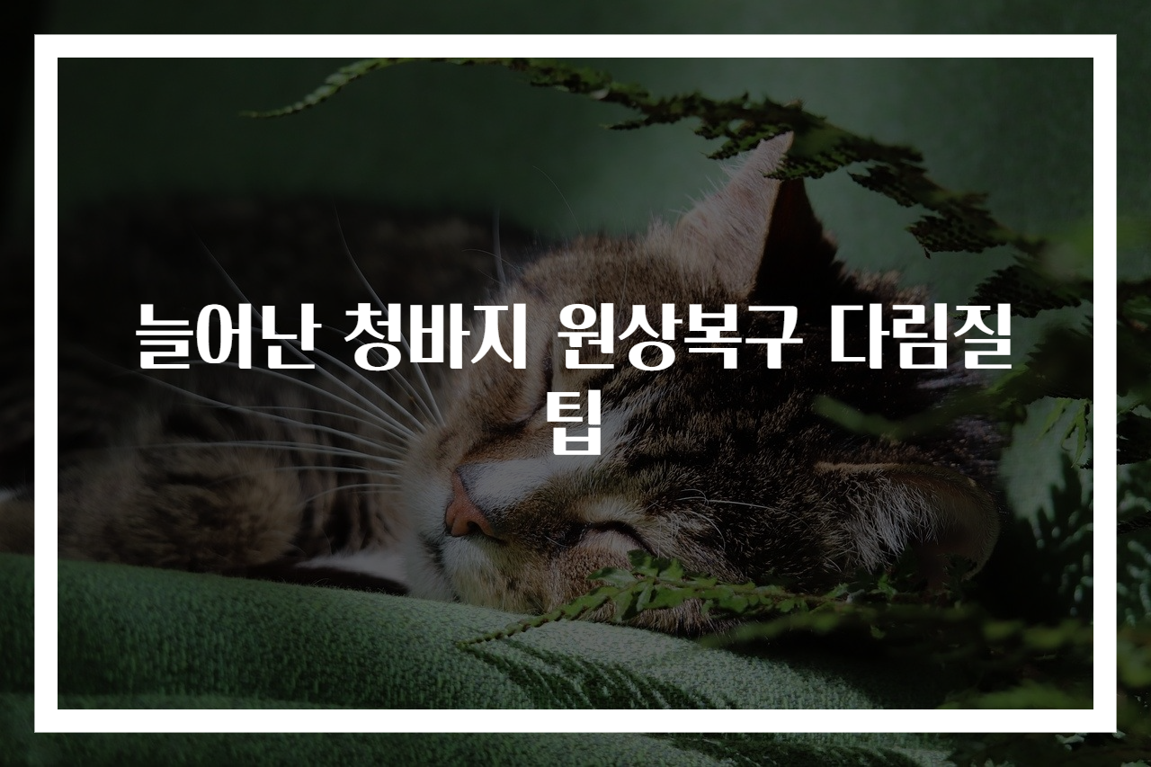 늘어난 청바지 원상복구 다림질팁