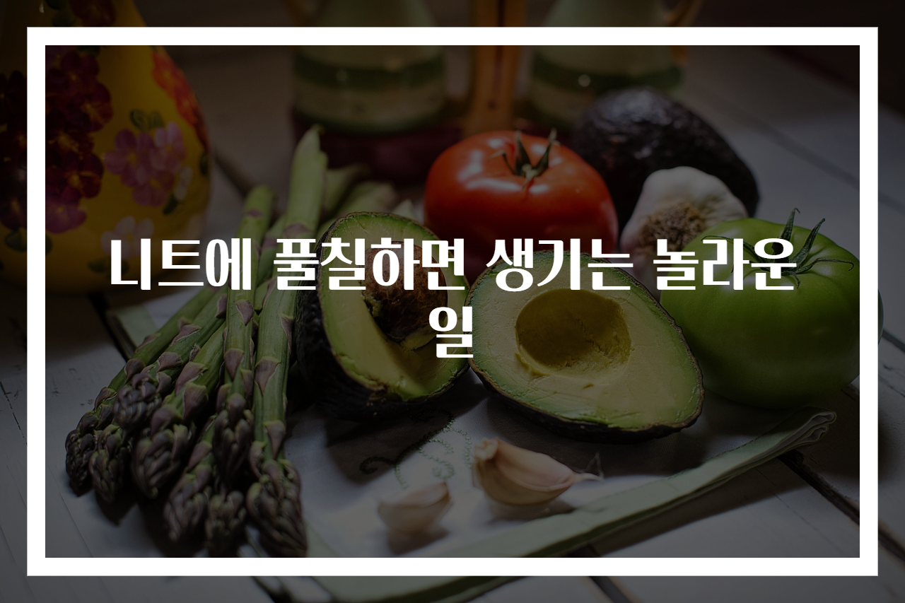 니트에 풀칠하면 생기는 놀라운 일