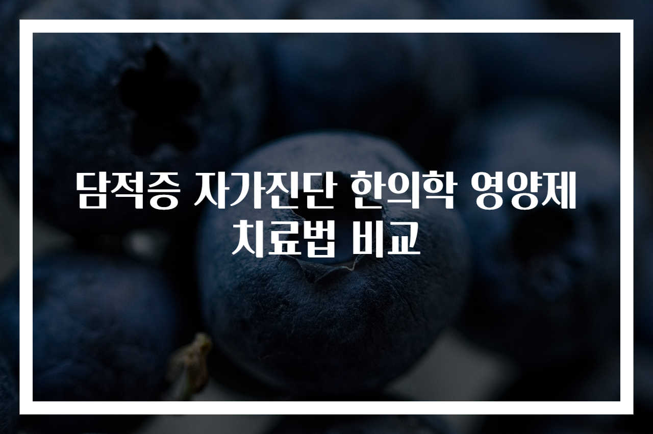 담적증 자가진단 한의학 영양제 치료법 비교