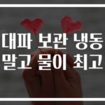 대파 보관 냉동말고 물이 최고