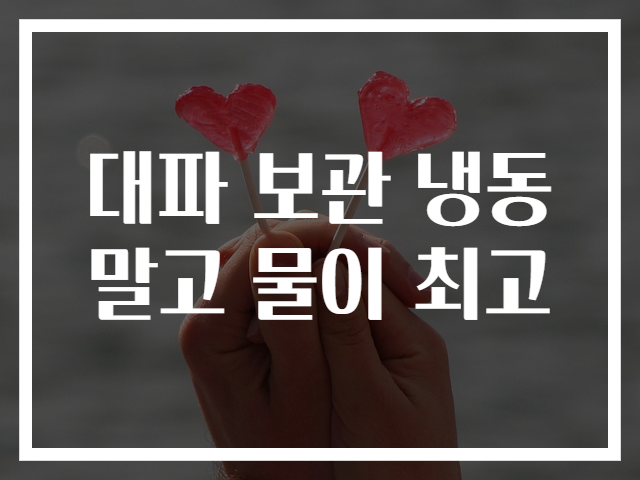 대파 보관 냉동말고 물이 최고
