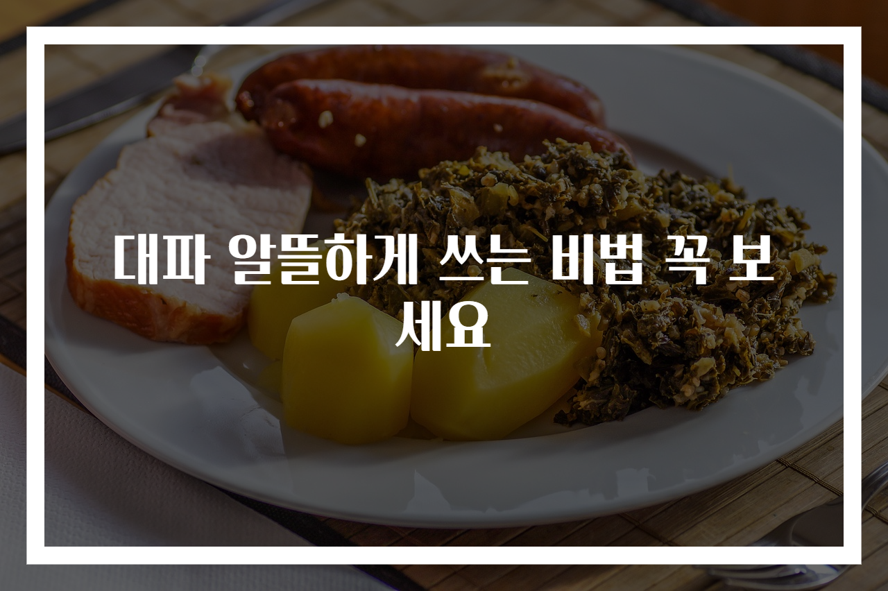 대파 알뜰하게 쓰는 비법 꼭 보세요
