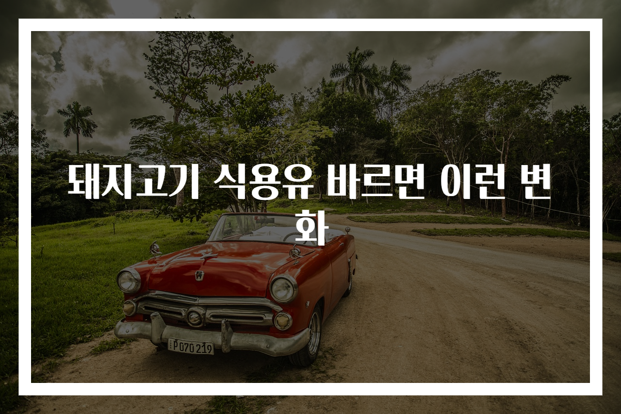돼지고기 식용유 바르면 이런 변화