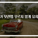 딸기 보관법 무르지 않게 유지하기