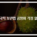 떡국떡 보관법 곰팡이 걱정 없이