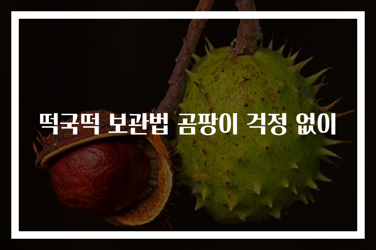 떡국떡 보관법 곰팡이 걱정 없이