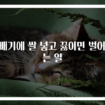 뚝배기에 쌀 넣고 끓이면 벌어지는 일