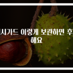 래시가드 이렇게 보관하면 후회해요