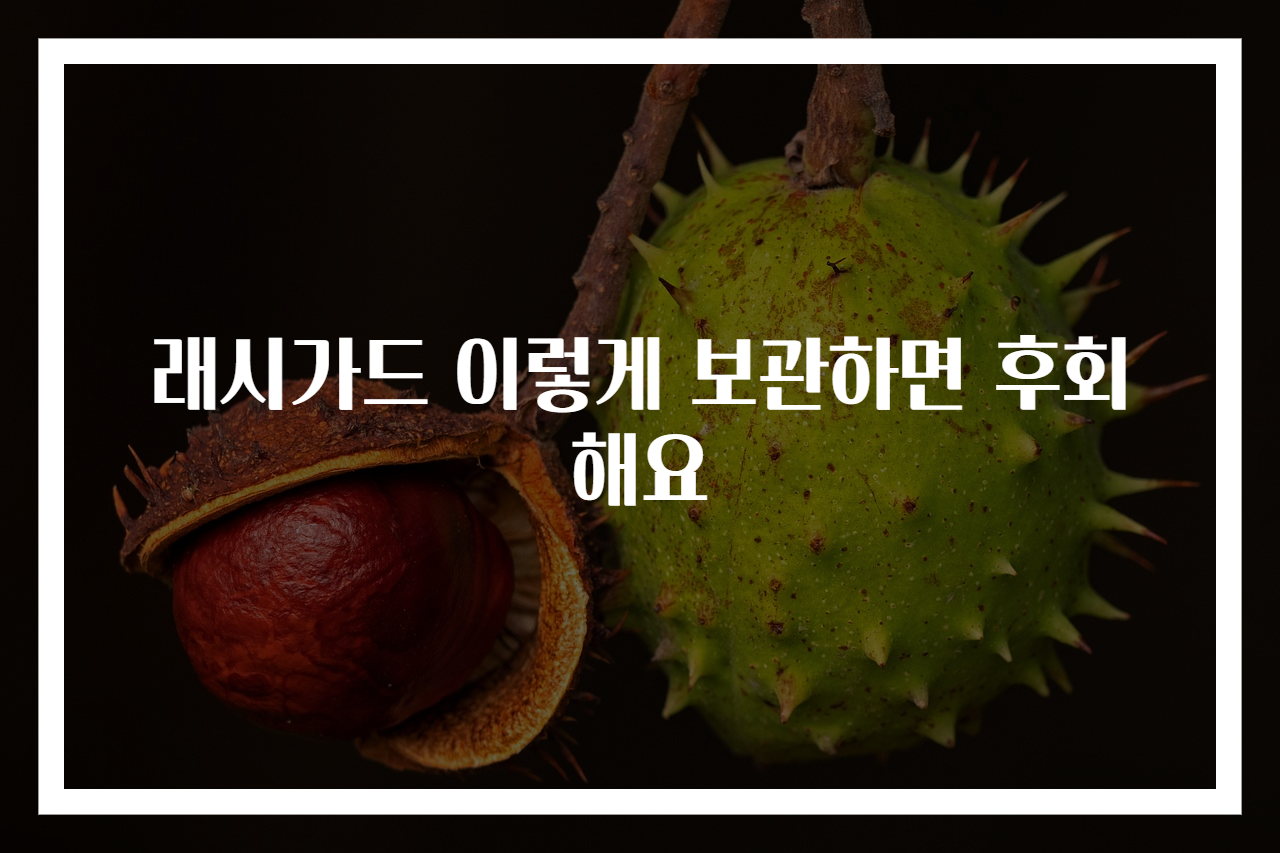 래시가드 이렇게 보관하면 후회해요