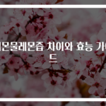 레몬물레몬즙 차이와 효능 가이드