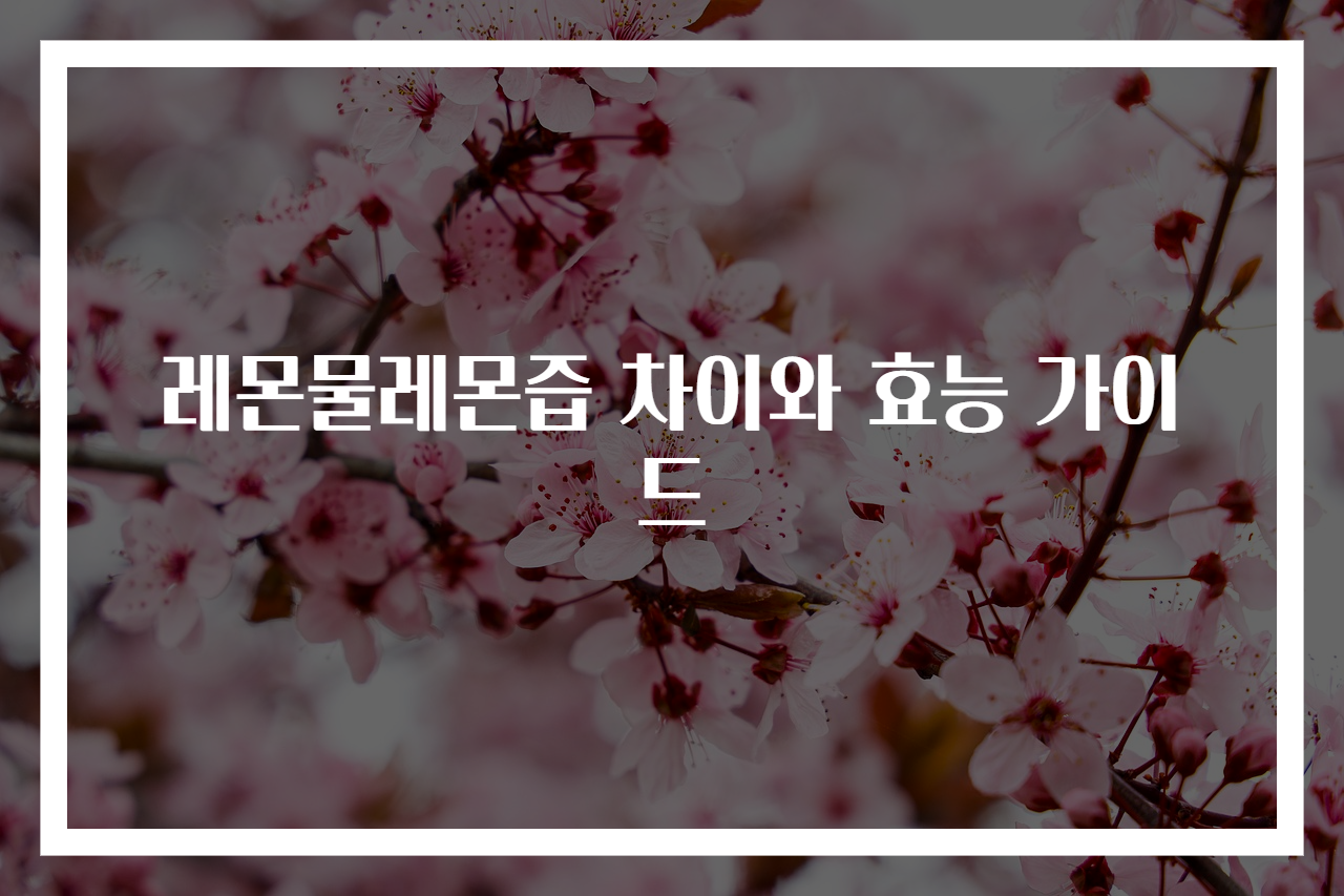 레몬물레몬즙 차이와 효능 가이드