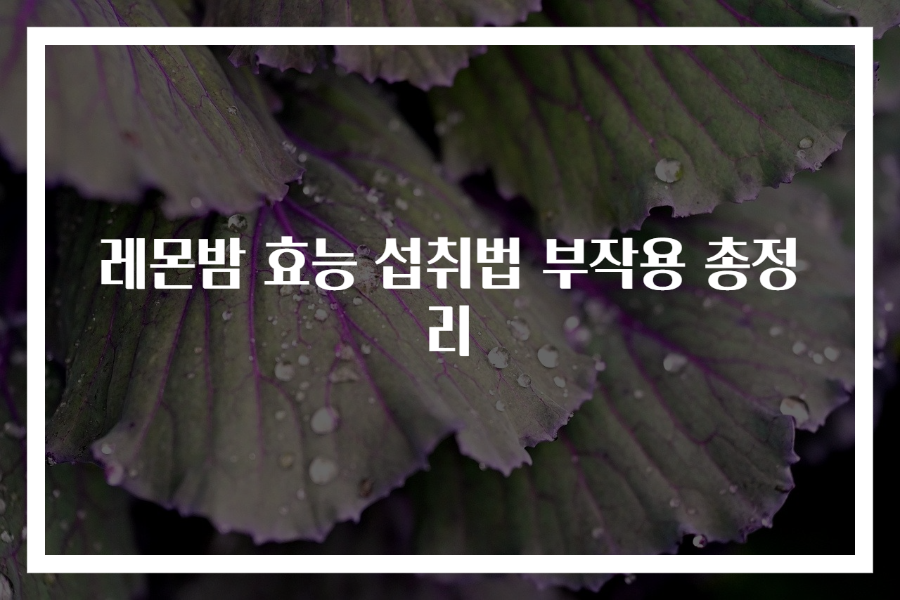 레몬밤 효능 섭취법 부작용 총정리