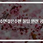 렘수면깊은수면 꿀팁 완전 공개