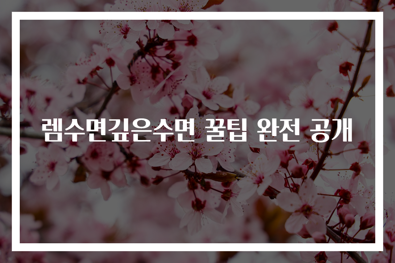 렘수면깊은수면 꿀팁 완전 공개