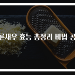 마른새우 효능 총정리 비법 공개