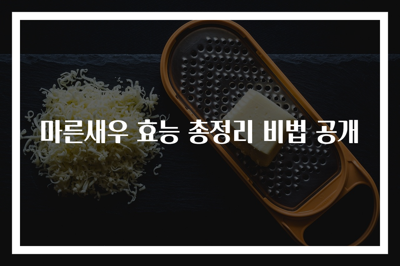 마른새우 효능 총정리 비법 공개