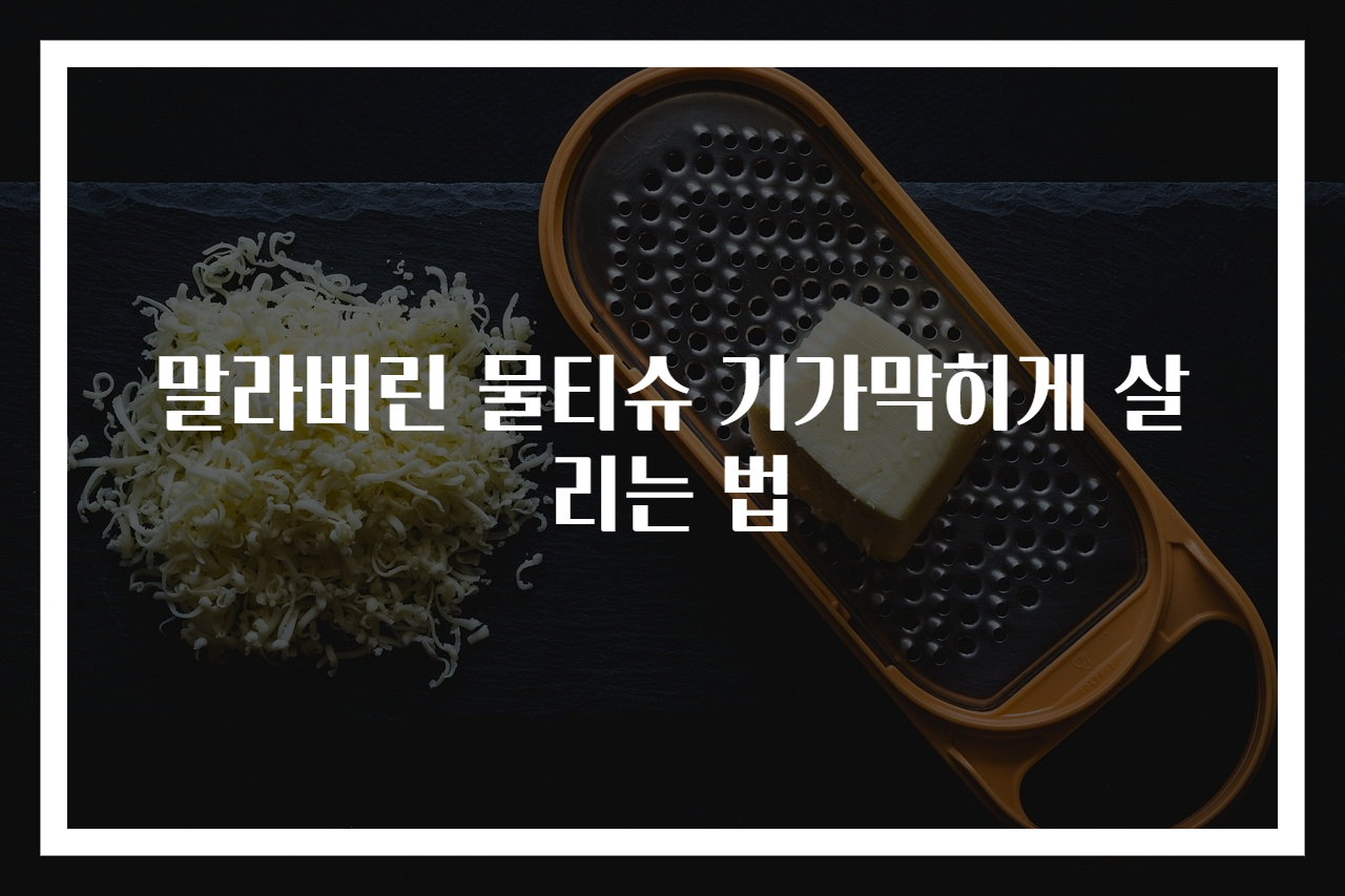 말라버린 물티슈 기가막히게 살리는 법